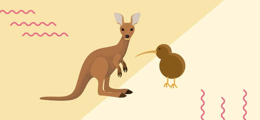 Exporting overseas: selling clothes to Australia & New Zealand